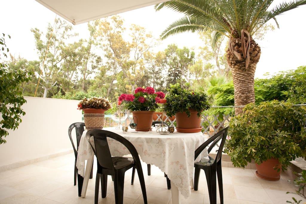 Veggie Garden Athens B&B מראה חיצוני תמונה