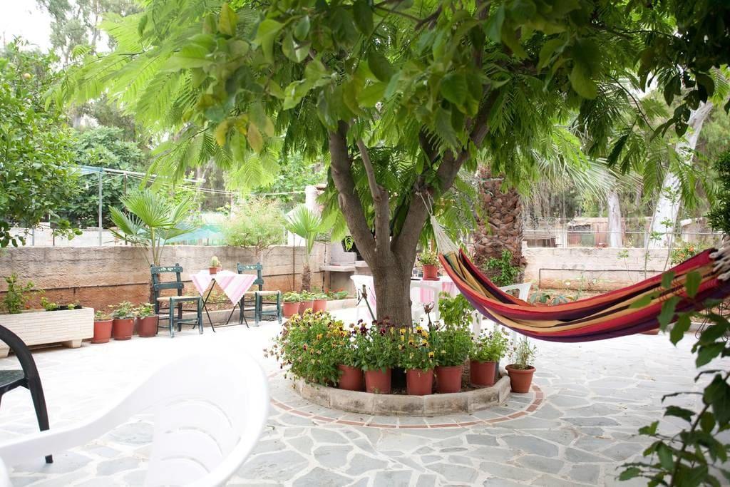 Veggie Garden Athens B&B מראה חיצוני תמונה