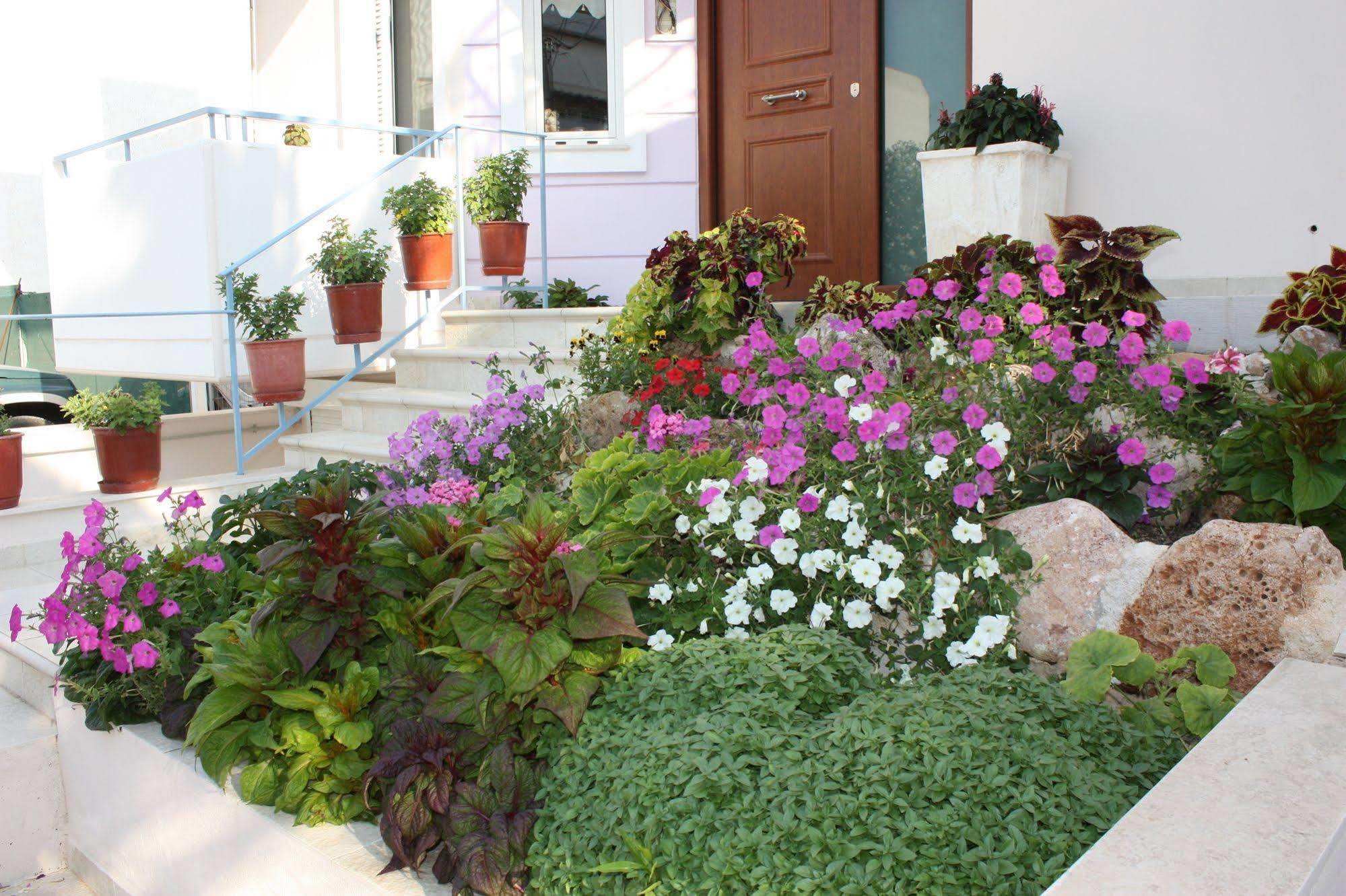 Veggie Garden Athens B&B מראה חיצוני תמונה