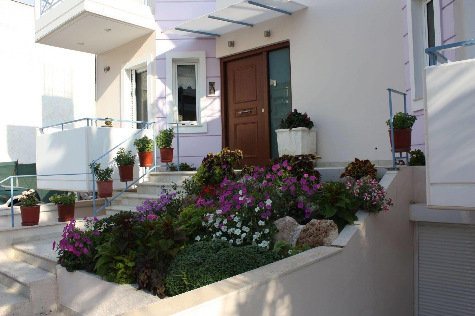 Veggie Garden Athens B&B מראה חיצוני תמונה
